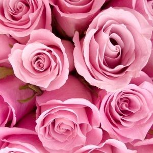 Meet your Posher, Aliyah